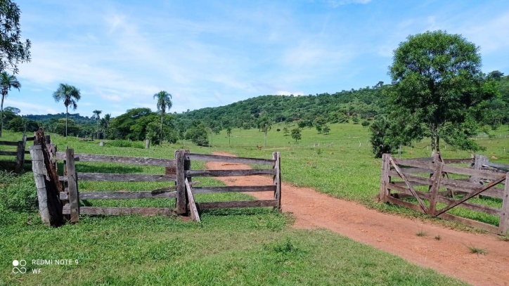 Fazenda em Bom Jardim de Goiás/Goiás — Ref TBJJCE — Imagem 3