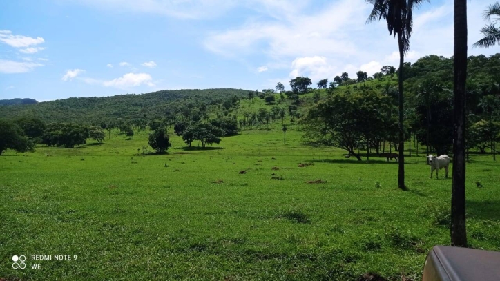 Fazenda em Bom Jardim de Goiás/Goiás — Ref TBJJCE — Imagem 9