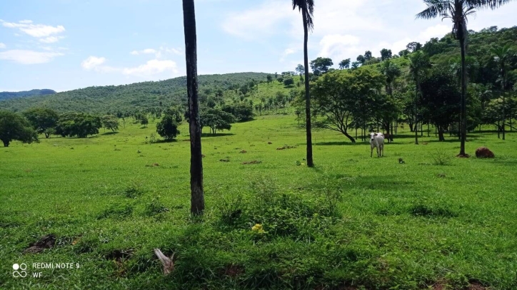 Fazenda em Bom Jardim de Goiás/Goiás — Ref TBJJCE — Imagem 11