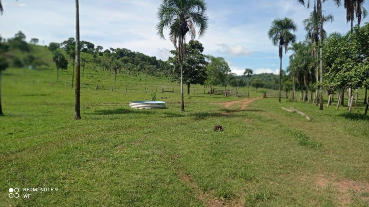 Fazenda em Bom Jardim de Goiás/Goiás — Ref TBJJCE — Imagem 4