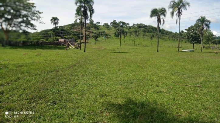 Fazenda em Bom Jardim de Goiás/Goiás — Ref TBJJCE — Imagem 12