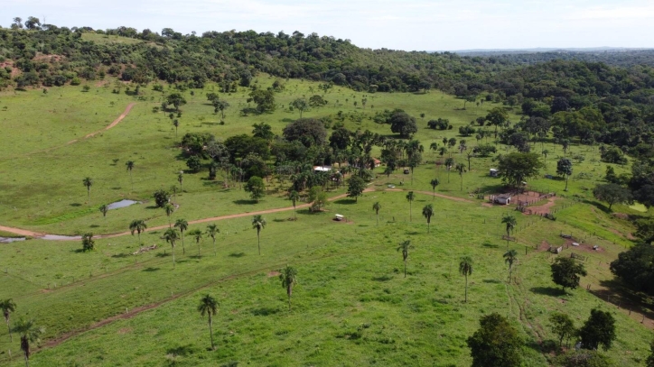Fazenda em Bom Jardim de Goiás/Goiás — Ref TBJJCE — Imagem 14