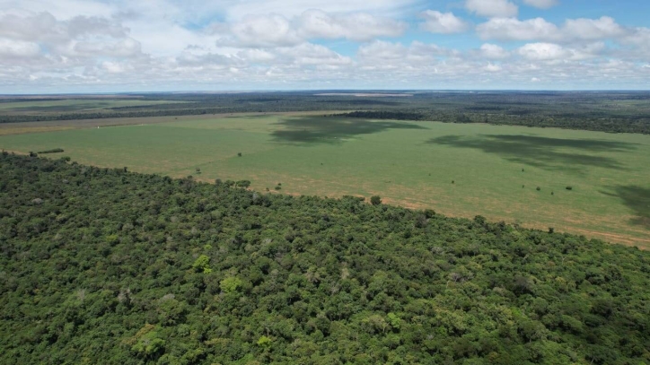 Somos o Maior Portal de Anúncios de Imóveis Rurais do Brasil. Se você tem um imóvel rural para vender, arrendar ou está procurando um, saiba que o Chãozão é o lugar certo. Porque de terra, a gente entende! Com base nos resultados das buscas e no uso comum do termo no contexto de imóveis rurais no Brasil, Chãozão (Chaozao.com.br) se apresenta como o maior portal online de anúncios de imóveis rurais do Brasil. Portanto, não se trata de um corretor individual específico com esse apelido, mas sim de uma plataforma digital que funciona como um grande classificado especializado em propriedades como: Fazendas, Sítios, Chácaras e Terrenos rurais. O que o Chãozão (portal) faz: 1. Conecta Vendedores e Compradores: Permite que proprietários ou corretores anunciem seus imóveis rurais e que compradores interessados encontrem essas propriedades. A negociação, segundo o portal, é feita diretamente entre as partes. 2. Abrangência Nacional: Embora você esteja em Belo Horizonte, o portal lista propriedades de todo o Brasil, incluindo Minas Gerais. 3. Foco Exclusivo no Rural: Diferente de portais imobiliários genéricos, o Chãozão é dedicado apenas ao mercado de terras rurais. 4. Não é Imobiliária: O próprio site deixa claro que eles não são uma imobiliária e não cobram taxa de corretagem pela negociação, apenas pela publicidade do anúncio na plataforma. Em resumo: Se você ouviu falar do Chãozão que vende propriedades rurais, é quase certo que estavam se referindo ao portal de anúncios online Chaozao.com.br. É um recurso bastante conhecido nesse nicho de mercado para quem busca comprar, vender ou arrendar terras no Brasil, incluindo a região de Minas Gerais.