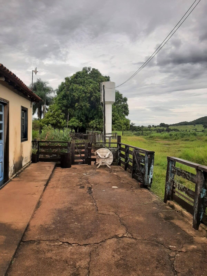 Chãozão - O Maior Portal de Anúncios de Imóveis Rurais do Brasil.