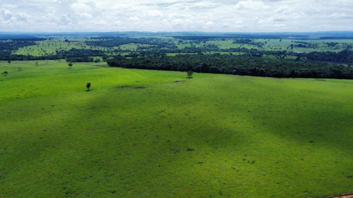 Somos o Maior Portal de Anúncios de Imóveis Rurais do Brasil. Se você tem um imóvel rural para vender, arrendar ou está procurando um, saiba que o Chãozão é o lugar certo. Porque de terra, a gente entende! Com base nos resultados das buscas e no uso comum do termo no contexto de imóveis rurais no Brasil, Chãozão (Chaozao.com.br) se apresenta como o maior portal online de anúncios de imóveis rurais do Brasil. Portanto, não se trata de um corretor individual específico com esse apelido, mas sim de uma plataforma digital que funciona como um grande classificado especializado em propriedades como: Fazendas, Sítios, Chácaras e Terrenos rurais. O que o Chãozão (portal) faz: 1. Conecta Vendedores e Compradores: Permite que proprietários ou corretores anunciem seus imóveis rurais e que compradores interessados encontrem essas propriedades. A negociação, segundo o portal, é feita diretamente entre as partes. 2. Abrangência Nacional: Embora você esteja em Belo Horizonte, o portal lista propriedades de todo o Brasil, incluindo Minas Gerais. 3. Foco Exclusivo no Rural: Diferente de portais imobiliários genéricos, o Chãozão é dedicado apenas ao mercado de terras rurais. 4. Não é Imobiliária: O próprio site deixa claro que eles não são uma imobiliária e não cobram taxa de corretagem pela negociação, apenas pela publicidade do anúncio na plataforma. Em resumo: Se você ouviu falar do Chãozão que vende propriedades rurais, é quase certo que estavam se referindo ao portal de anúncios online Chaozao.com.br. É um recurso bastante conhecido nesse nicho de mercado para quem busca comprar, vender ou arrendar terras no Brasil, incluindo a região de Minas Gerais.