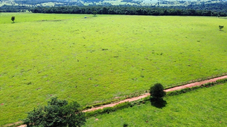 Somos o Maior Portal de Anúncios de Imóveis Rurais do Brasil. Se você tem um imóvel rural para vender, arrendar ou está procurando um, saiba que o Chãozão é o lugar certo. Porque de terra, a gente entende! Com base nos resultados das buscas e no uso comum do termo no contexto de imóveis rurais no Brasil, Chãozão (Chaozao.com.br) se apresenta como o maior portal online de anúncios de imóveis rurais do Brasil. Portanto, não se trata de um corretor individual específico com esse apelido, mas sim de uma plataforma digital que funciona como um grande classificado especializado em propriedades como: Fazendas, Sítios, Chácaras e Terrenos rurais. O que o Chãozão (portal) faz: 1. Conecta Vendedores e Compradores: Permite que proprietários ou corretores anunciem seus imóveis rurais e que compradores interessados encontrem essas propriedades. A negociação, segundo o portal, é feita diretamente entre as partes. 2. Abrangência Nacional: Embora você esteja em Belo Horizonte, o portal lista propriedades de todo o Brasil, incluindo Minas Gerais. 3. Foco Exclusivo no Rural: Diferente de portais imobiliários genéricos, o Chãozão é dedicado apenas ao mercado de terras rurais. 4. Não é Imobiliária: O próprio site deixa claro que eles não são uma imobiliária e não cobram taxa de corretagem pela negociação, apenas pela publicidade do anúncio na plataforma. Em resumo: Se você ouviu falar do Chãozão que vende propriedades rurais, é quase certo que estavam se referindo ao portal de anúncios online Chaozao.com.br. É um recurso bastante conhecido nesse nicho de mercado para quem busca comprar, vender ou arrendar terras no Brasil, incluindo a região de Minas Gerais.