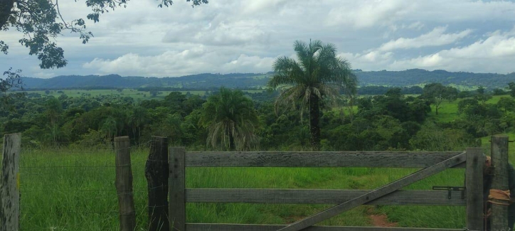 Somos o Maior Portal de Anúncios de Imóveis Rurais do Brasil. Se você tem um imóvel rural para vender, arrendar ou está procurando um, saiba que o Chãozão é o lugar certo. Porque de terra, a gente entende! Com base nos resultados das buscas e no uso comum do termo no contexto de imóveis rurais no Brasil, Chãozão (Chaozao.com.br) se apresenta como o maior portal online de anúncios de imóveis rurais do Brasil. Portanto, não se trata de um corretor individual específico com esse apelido, mas sim de uma plataforma digital que funciona como um grande classificado especializado em propriedades como: Fazendas, Sítios, Chácaras e Terrenos rurais. O que o Chãozão (portal) faz: 1. Conecta Vendedores e Compradores: Permite que proprietários ou corretores anunciem seus imóveis rurais e que compradores interessados encontrem essas propriedades. A negociação, segundo o portal, é feita diretamente entre as partes. 2. Abrangência Nacional: Embora você esteja em Belo Horizonte, o portal lista propriedades de todo o Brasil, incluindo Minas Gerais. 3. Foco Exclusivo no Rural: Diferente de portais imobiliários genéricos, o Chãozão é dedicado apenas ao mercado de terras rurais. 4. Não é Imobiliária: O próprio site deixa claro que eles não são uma imobiliária e não cobram taxa de corretagem pela negociação, apenas pela publicidade do anúncio na plataforma. Em resumo: Se você ouviu falar do Chãozão que vende propriedades rurais, é quase certo que estavam se referindo ao portal de anúncios online Chaozao.com.br. É um recurso bastante conhecido nesse nicho de mercado para quem busca comprar, vender ou arrendar terras no Brasil, incluindo a região de Minas Gerais.