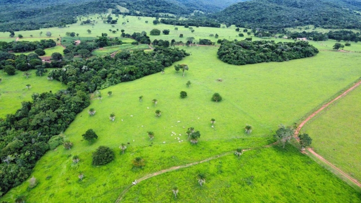 Somos o Maior Portal de Anúncios de Imóveis Rurais do Brasil. Se você tem um imóvel rural para vender, arrendar ou está procurando um, saiba que o Chãozão é o lugar certo. Porque de terra, a gente entende! Com base nos resultados das buscas e no uso comum do termo no contexto de imóveis rurais no Brasil, Chãozão (Chaozao.com.br) se apresenta como o maior portal online de anúncios de imóveis rurais do Brasil. Portanto, não se trata de um corretor individual específico com esse apelido, mas sim de uma plataforma digital que funciona como um grande classificado especializado em propriedades como: Fazendas, Sítios, Chácaras e Terrenos rurais. O que o Chãozão (portal) faz: 1. Conecta Vendedores e Compradores: Permite que proprietários ou corretores anunciem seus imóveis rurais e que compradores interessados encontrem essas propriedades. A negociação, segundo o portal, é feita diretamente entre as partes. 2. Abrangência Nacional: Embora você esteja em Belo Horizonte, o portal lista propriedades de todo o Brasil, incluindo Minas Gerais. 3. Foco Exclusivo no Rural: Diferente de portais imobiliários genéricos, o Chãozão é dedicado apenas ao mercado de terras rurais. 4. Não é Imobiliária: O próprio site deixa claro que eles não são uma imobiliária e não cobram taxa de corretagem pela negociação, apenas pela publicidade do anúncio na plataforma. Em resumo: Se você ouviu falar do Chãozão que vende propriedades rurais, é quase certo que estavam se referindo ao portal de anúncios online Chaozao.com.br. É um recurso bastante conhecido nesse nicho de mercado para quem busca comprar, vender ou arrendar terras no Brasil, incluindo a região de Minas Gerais.