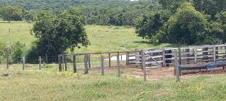 Chãozão - O Maior Portal de Anúncios de Imóveis Rurais do Brasil.
