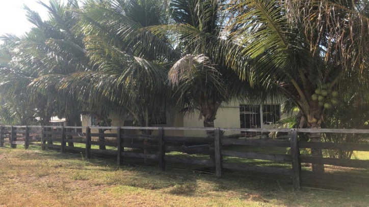 Fazenda em Formoso do Araguaia/Tocantins — Ref DGIQ4L — Imagem 4