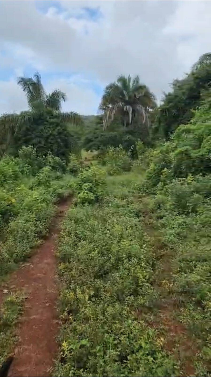 Fazenda em Montes Claros de Goiás/Goiás — Ref 7RNSEA — Imagem 2