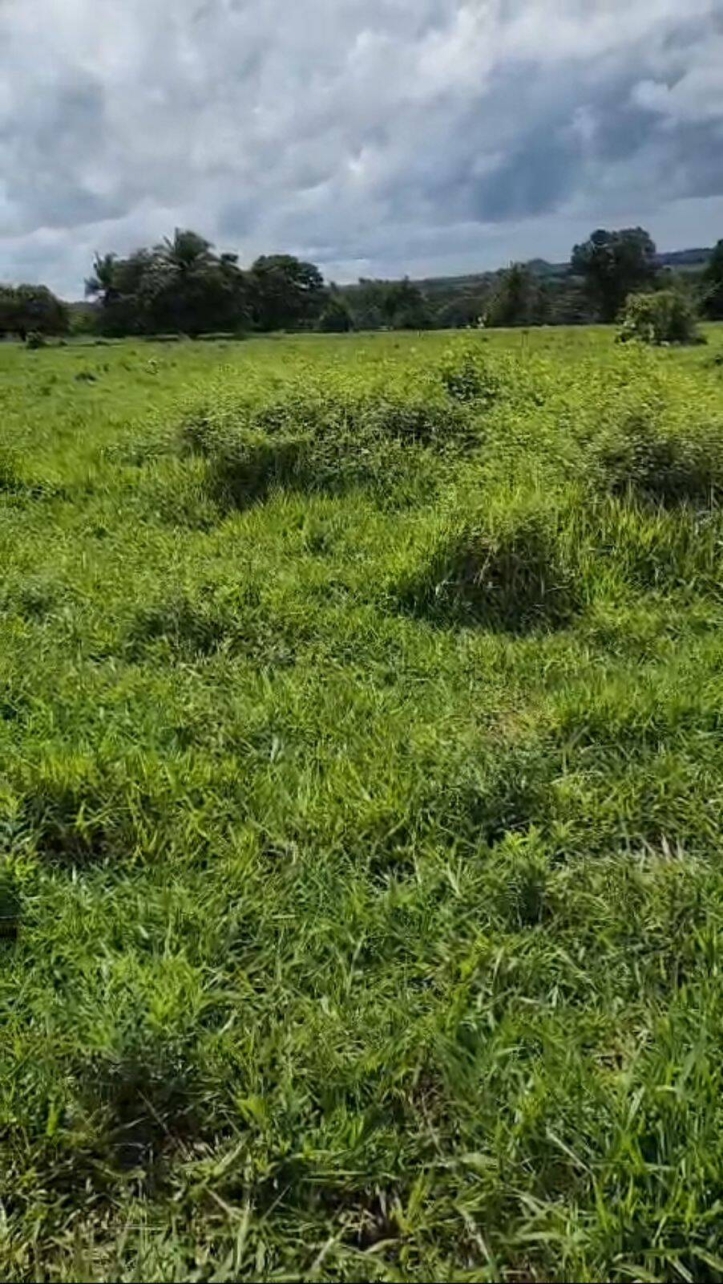 Fazenda em Montes Claros de Goiás/Goiás — Ref 7RNSEA — Imagem 3