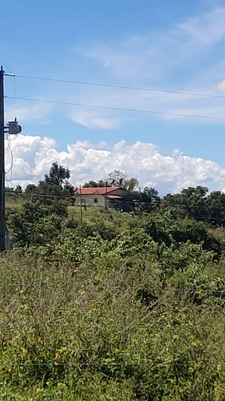 Chãozão - O Maior Portal de Anúncios de Imóveis Rurais do Brasil.