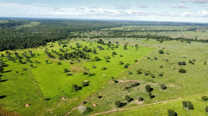 Fazenda em São Miguel do Araguaia/Goiás — Ref 7D66TM — Imagem 4