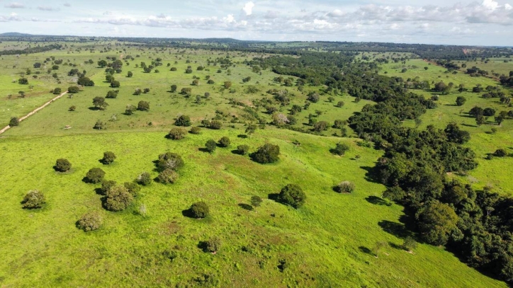 Fazenda em São Miguel do Araguaia/Goiás — Ref 7D66TM — Imagem 5