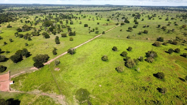 Fazenda em São Miguel do Araguaia/Goiás — Ref 7D66TM — Imagem 6