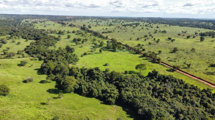 Fazenda em São Miguel do Araguaia/Goiás — Ref 7D66TM — Imagem 7