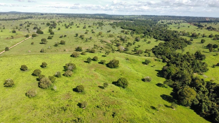 Fazenda em São Miguel do Araguaia/Goiás — Ref 7D66TM — Imagem 9
