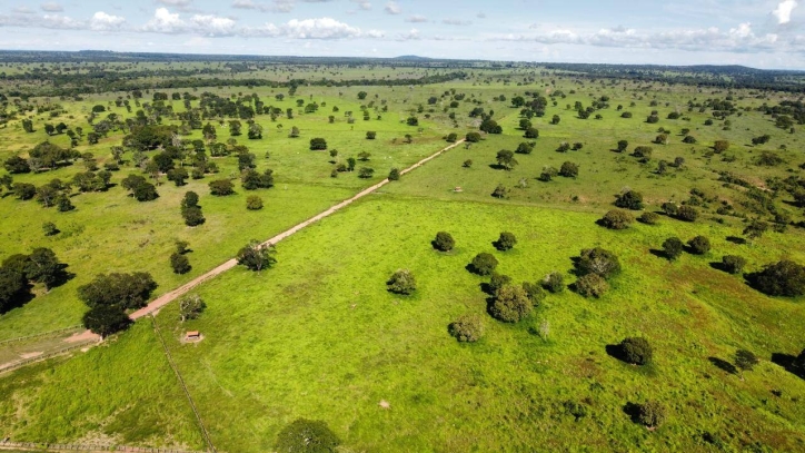 Fazenda em São Miguel do Araguaia/Goiás — Ref 7D66TM — Imagem 10