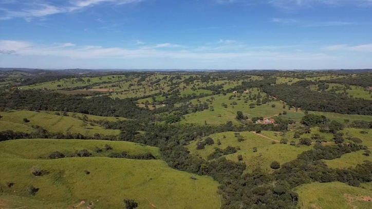 Chãozão - O Maior Portal de Anúncios de Imóveis Rurais do Brasil.