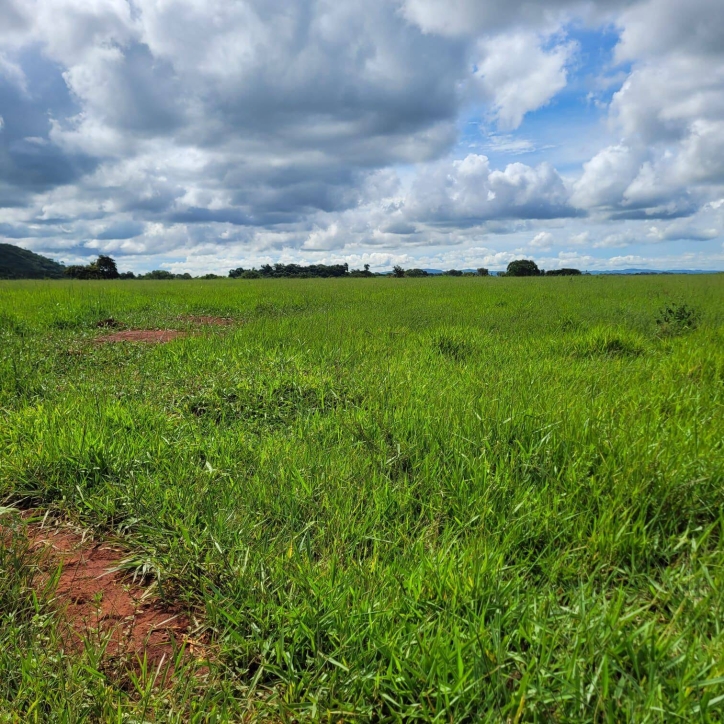 Sítio em Taquaral de Goiás/Goiás — Ref 0USPFY — Imagem 11