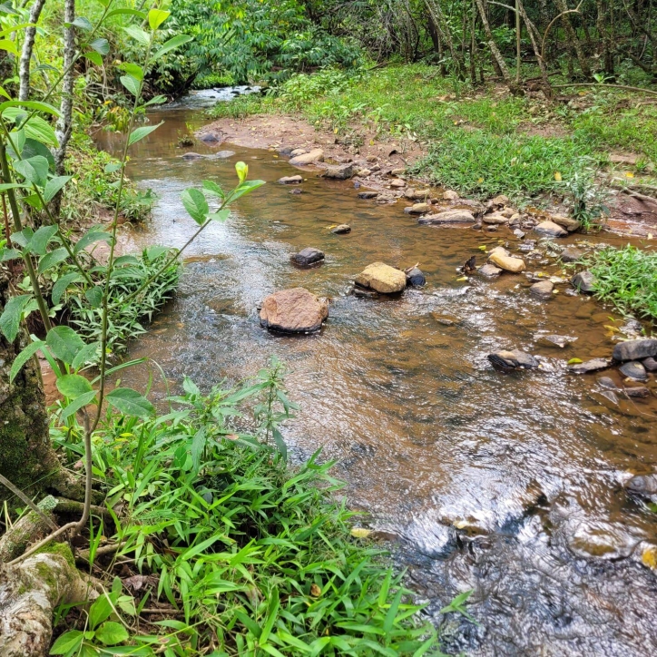 Sítio em Taquaral de Goiás/Goiás — Ref 0USPFY — Imagem 3