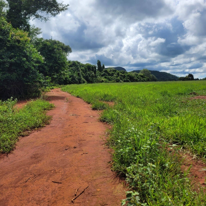 Sítio em Taquaral de Goiás/Goiás — Ref 0USPFY — Imagem 5