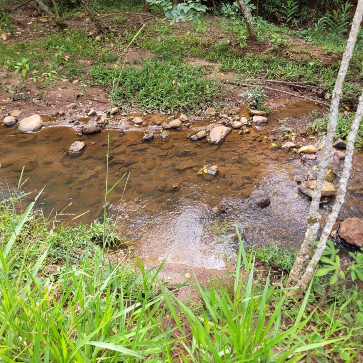 Sítio em Taquaral de Goiás/Goiás — Ref 0USPFY — Imagem 4