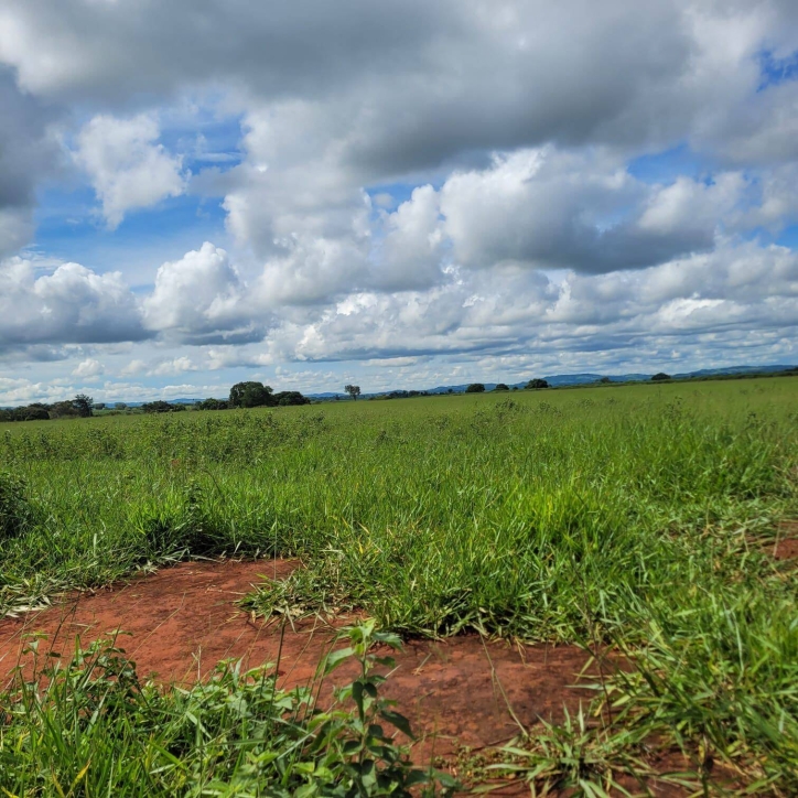 Sítio em Taquaral de Goiás/Goiás — Ref 0USPFY — Imagem 8