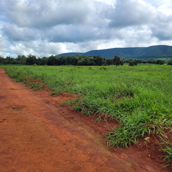 Sítio em Taquaral de Goiás/Goiás — Ref 0USPFY — Imagem 9