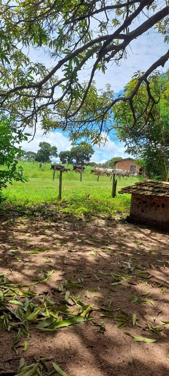 Chãozão - O Maior Portal de Anúncios de Imóveis Rurais do Brasil.