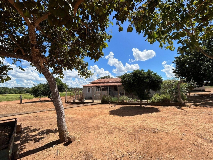 Chãozão - O Maior Portal de Anúncios de Imóveis Rurais do Brasil.