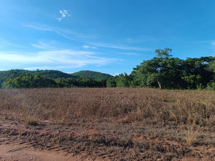 Somos o Maior Portal de Anúncios de Imóveis Rurais do Brasil. Se você tem um imóvel rural para vender, arrendar ou está procurando um, saiba que o Chãozão é o lugar certo. Porque de terra, a gente entende! Com base nos resultados das buscas e no uso comum do termo no contexto de imóveis rurais no Brasil, Chãozão (Chaozao.com.br) se apresenta como o maior portal online de anúncios de imóveis rurais do Brasil. Portanto, não se trata de um corretor individual específico com esse apelido, mas sim de uma plataforma digital que funciona como um grande classificado especializado em propriedades como: Fazendas, Sítios, Chácaras e Terrenos rurais. O que o Chãozão (portal) faz: 1. Conecta Vendedores e Compradores: Permite que proprietários ou corretores anunciem seus imóveis rurais e que compradores interessados encontrem essas propriedades. A negociação, segundo o portal, é feita diretamente entre as partes. 2. Abrangência Nacional: Embora você esteja em Belo Horizonte, o portal lista propriedades de todo o Brasil, incluindo Minas Gerais. 3. Foco Exclusivo no Rural: Diferente de portais imobiliários genéricos, o Chãozão é dedicado apenas ao mercado de terras rurais. 4. Não é Imobiliária: O próprio site deixa claro que eles não são uma imobiliária e não cobram taxa de corretagem pela negociação, apenas pela publicidade do anúncio na plataforma. Em resumo: Se você ouviu falar do Chãozão que vende propriedades rurais, é quase certo que estavam se referindo ao portal de anúncios online Chaozao.com.br. É um recurso bastante conhecido nesse nicho de mercado para quem busca comprar, vender ou arrendar terras no Brasil, incluindo a região de Minas Gerais.