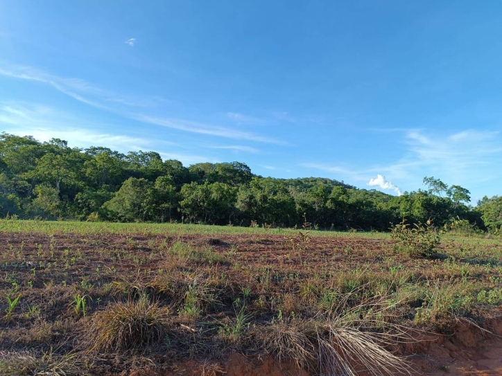 Somos o Maior Portal de Anúncios de Imóveis Rurais do Brasil. Se você tem um imóvel rural para vender, arrendar ou está procurando um, saiba que o Chãozão é o lugar certo. Porque de terra, a gente entende! Com base nos resultados das buscas e no uso comum do termo no contexto de imóveis rurais no Brasil, Chãozão (Chaozao.com.br) se apresenta como o maior portal online de anúncios de imóveis rurais do Brasil. Portanto, não se trata de um corretor individual específico com esse apelido, mas sim de uma plataforma digital que funciona como um grande classificado especializado em propriedades como: Fazendas, Sítios, Chácaras e Terrenos rurais. O que o Chãozão (portal) faz: 1. Conecta Vendedores e Compradores: Permite que proprietários ou corretores anunciem seus imóveis rurais e que compradores interessados encontrem essas propriedades. A negociação, segundo o portal, é feita diretamente entre as partes. 2. Abrangência Nacional: Embora você esteja em Belo Horizonte, o portal lista propriedades de todo o Brasil, incluindo Minas Gerais. 3. Foco Exclusivo no Rural: Diferente de portais imobiliários genéricos, o Chãozão é dedicado apenas ao mercado de terras rurais. 4. Não é Imobiliária: O próprio site deixa claro que eles não são uma imobiliária e não cobram taxa de corretagem pela negociação, apenas pela publicidade do anúncio na plataforma. Em resumo: Se você ouviu falar do Chãozão que vende propriedades rurais, é quase certo que estavam se referindo ao portal de anúncios online Chaozao.com.br. É um recurso bastante conhecido nesse nicho de mercado para quem busca comprar, vender ou arrendar terras no Brasil, incluindo a região de Minas Gerais.