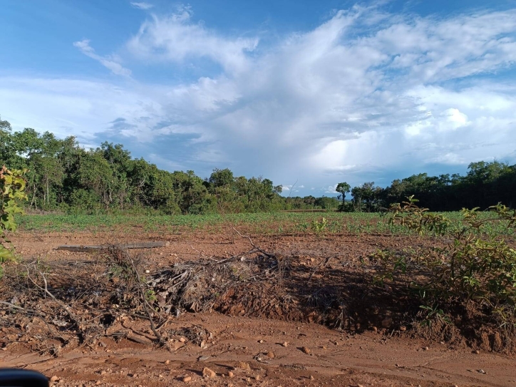 Somos o Maior Portal de Anúncios de Imóveis Rurais do Brasil. Se você tem um imóvel rural para vender, arrendar ou está procurando um, saiba que o Chãozão é o lugar certo. Porque de terra, a gente entende! Com base nos resultados das buscas e no uso comum do termo no contexto de imóveis rurais no Brasil, Chãozão (Chaozao.com.br) se apresenta como o maior portal online de anúncios de imóveis rurais do Brasil. Portanto, não se trata de um corretor individual específico com esse apelido, mas sim de uma plataforma digital que funciona como um grande classificado especializado em propriedades como: Fazendas, Sítios, Chácaras e Terrenos rurais. O que o Chãozão (portal) faz: 1. Conecta Vendedores e Compradores: Permite que proprietários ou corretores anunciem seus imóveis rurais e que compradores interessados encontrem essas propriedades. A negociação, segundo o portal, é feita diretamente entre as partes. 2. Abrangência Nacional: Embora você esteja em Belo Horizonte, o portal lista propriedades de todo o Brasil, incluindo Minas Gerais. 3. Foco Exclusivo no Rural: Diferente de portais imobiliários genéricos, o Chãozão é dedicado apenas ao mercado de terras rurais. 4. Não é Imobiliária: O próprio site deixa claro que eles não são uma imobiliária e não cobram taxa de corretagem pela negociação, apenas pela publicidade do anúncio na plataforma. Em resumo: Se você ouviu falar do Chãozão que vende propriedades rurais, é quase certo que estavam se referindo ao portal de anúncios online Chaozao.com.br. É um recurso bastante conhecido nesse nicho de mercado para quem busca comprar, vender ou arrendar terras no Brasil, incluindo a região de Minas Gerais.