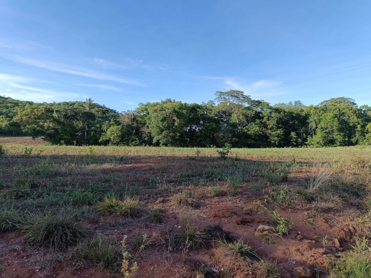 Somos o Maior Portal de Anúncios de Imóveis Rurais do Brasil. Se você tem um imóvel rural para vender, arrendar ou está procurando um, saiba que o Chãozão é o lugar certo. Porque de terra, a gente entende! Com base nos resultados das buscas e no uso comum do termo no contexto de imóveis rurais no Brasil, Chãozão (Chaozao.com.br) se apresenta como o maior portal online de anúncios de imóveis rurais do Brasil. Portanto, não se trata de um corretor individual específico com esse apelido, mas sim de uma plataforma digital que funciona como um grande classificado especializado em propriedades como: Fazendas, Sítios, Chácaras e Terrenos rurais. O que o Chãozão (portal) faz: 1. Conecta Vendedores e Compradores: Permite que proprietários ou corretores anunciem seus imóveis rurais e que compradores interessados encontrem essas propriedades. A negociação, segundo o portal, é feita diretamente entre as partes. 2. Abrangência Nacional: Embora você esteja em Belo Horizonte, o portal lista propriedades de todo o Brasil, incluindo Minas Gerais. 3. Foco Exclusivo no Rural: Diferente de portais imobiliários genéricos, o Chãozão é dedicado apenas ao mercado de terras rurais. 4. Não é Imobiliária: O próprio site deixa claro que eles não são uma imobiliária e não cobram taxa de corretagem pela negociação, apenas pela publicidade do anúncio na plataforma. Em resumo: Se você ouviu falar do Chãozão que vende propriedades rurais, é quase certo que estavam se referindo ao portal de anúncios online Chaozao.com.br. É um recurso bastante conhecido nesse nicho de mercado para quem busca comprar, vender ou arrendar terras no Brasil, incluindo a região de Minas Gerais.