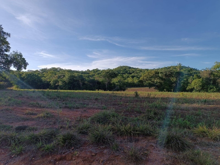 Somos o Maior Portal de Anúncios de Imóveis Rurais do Brasil. Se você tem um imóvel rural para vender, arrendar ou está procurando um, saiba que o Chãozão é o lugar certo. Porque de terra, a gente entende! Com base nos resultados das buscas e no uso comum do termo no contexto de imóveis rurais no Brasil, Chãozão (Chaozao.com.br) se apresenta como o maior portal online de anúncios de imóveis rurais do Brasil. Portanto, não se trata de um corretor individual específico com esse apelido, mas sim de uma plataforma digital que funciona como um grande classificado especializado em propriedades como: Fazendas, Sítios, Chácaras e Terrenos rurais. O que o Chãozão (portal) faz: 1. Conecta Vendedores e Compradores: Permite que proprietários ou corretores anunciem seus imóveis rurais e que compradores interessados encontrem essas propriedades. A negociação, segundo o portal, é feita diretamente entre as partes. 2. Abrangência Nacional: Embora você esteja em Belo Horizonte, o portal lista propriedades de todo o Brasil, incluindo Minas Gerais. 3. Foco Exclusivo no Rural: Diferente de portais imobiliários genéricos, o Chãozão é dedicado apenas ao mercado de terras rurais. 4. Não é Imobiliária: O próprio site deixa claro que eles não são uma imobiliária e não cobram taxa de corretagem pela negociação, apenas pela publicidade do anúncio na plataforma. Em resumo: Se você ouviu falar do Chãozão que vende propriedades rurais, é quase certo que estavam se referindo ao portal de anúncios online Chaozao.com.br. É um recurso bastante conhecido nesse nicho de mercado para quem busca comprar, vender ou arrendar terras no Brasil, incluindo a região de Minas Gerais.