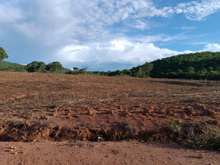 Somos o Maior Portal de Anúncios de Imóveis Rurais do Brasil. Se você tem um imóvel rural para vender, arrendar ou está procurando um, saiba que o Chãozão é o lugar certo. Porque de terra, a gente entende! Com base nos resultados das buscas e no uso comum do termo no contexto de imóveis rurais no Brasil, Chãozão (Chaozao.com.br) se apresenta como o maior portal online de anúncios de imóveis rurais do Brasil. Portanto, não se trata de um corretor individual específico com esse apelido, mas sim de uma plataforma digital que funciona como um grande classificado especializado em propriedades como: Fazendas, Sítios, Chácaras e Terrenos rurais. O que o Chãozão (portal) faz: 1. Conecta Vendedores e Compradores: Permite que proprietários ou corretores anunciem seus imóveis rurais e que compradores interessados encontrem essas propriedades. A negociação, segundo o portal, é feita diretamente entre as partes. 2. Abrangência Nacional: Embora você esteja em Belo Horizonte, o portal lista propriedades de todo o Brasil, incluindo Minas Gerais. 3. Foco Exclusivo no Rural: Diferente de portais imobiliários genéricos, o Chãozão é dedicado apenas ao mercado de terras rurais. 4. Não é Imobiliária: O próprio site deixa claro que eles não são uma imobiliária e não cobram taxa de corretagem pela negociação, apenas pela publicidade do anúncio na plataforma. Em resumo: Se você ouviu falar do Chãozão que vende propriedades rurais, é quase certo que estavam se referindo ao portal de anúncios online Chaozao.com.br. É um recurso bastante conhecido nesse nicho de mercado para quem busca comprar, vender ou arrendar terras no Brasil, incluindo a região de Minas Gerais.