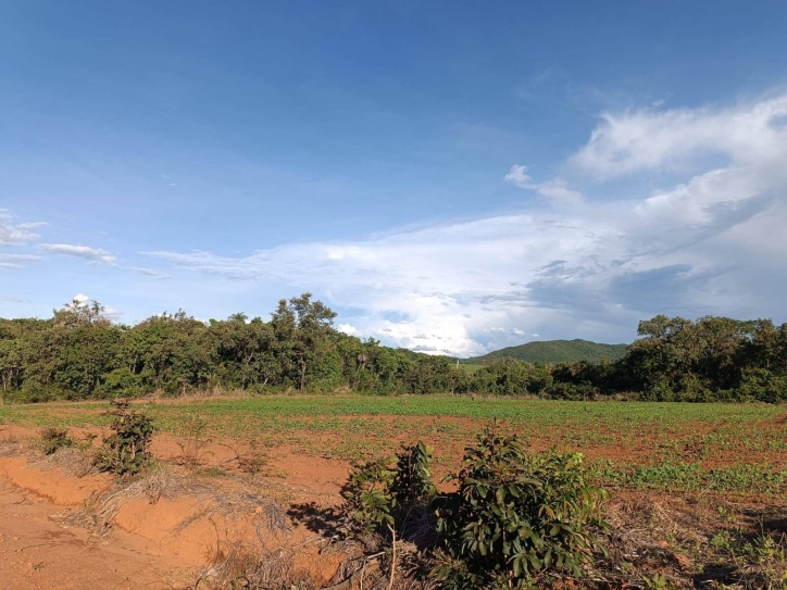 Somos o Maior Portal de Anúncios de Imóveis Rurais do Brasil. Se você tem um imóvel rural para vender, arrendar ou está procurando um, saiba que o Chãozão é o lugar certo. Porque de terra, a gente entende! Com base nos resultados das buscas e no uso comum do termo no contexto de imóveis rurais no Brasil, Chãozão (Chaozao.com.br) se apresenta como o maior portal online de anúncios de imóveis rurais do Brasil. Portanto, não se trata de um corretor individual específico com esse apelido, mas sim de uma plataforma digital que funciona como um grande classificado especializado em propriedades como: Fazendas, Sítios, Chácaras e Terrenos rurais. O que o Chãozão (portal) faz: 1. Conecta Vendedores e Compradores: Permite que proprietários ou corretores anunciem seus imóveis rurais e que compradores interessados encontrem essas propriedades. A negociação, segundo o portal, é feita diretamente entre as partes. 2. Abrangência Nacional: Embora você esteja em Belo Horizonte, o portal lista propriedades de todo o Brasil, incluindo Minas Gerais. 3. Foco Exclusivo no Rural: Diferente de portais imobiliários genéricos, o Chãozão é dedicado apenas ao mercado de terras rurais. 4. Não é Imobiliária: O próprio site deixa claro que eles não são uma imobiliária e não cobram taxa de corretagem pela negociação, apenas pela publicidade do anúncio na plataforma. Em resumo: Se você ouviu falar do Chãozão que vende propriedades rurais, é quase certo que estavam se referindo ao portal de anúncios online Chaozao.com.br. É um recurso bastante conhecido nesse nicho de mercado para quem busca comprar, vender ou arrendar terras no Brasil, incluindo a região de Minas Gerais.