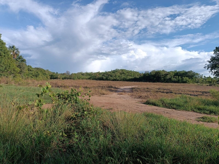 Somos o Maior Portal de Anúncios de Imóveis Rurais do Brasil. Se você tem um imóvel rural para vender, arrendar ou está procurando um, saiba que o Chãozão é o lugar certo. Porque de terra, a gente entende! Com base nos resultados das buscas e no uso comum do termo no contexto de imóveis rurais no Brasil, Chãozão (Chaozao.com.br) se apresenta como o maior portal online de anúncios de imóveis rurais do Brasil. Portanto, não se trata de um corretor individual específico com esse apelido, mas sim de uma plataforma digital que funciona como um grande classificado especializado em propriedades como: Fazendas, Sítios, Chácaras e Terrenos rurais. O que o Chãozão (portal) faz: 1. Conecta Vendedores e Compradores: Permite que proprietários ou corretores anunciem seus imóveis rurais e que compradores interessados encontrem essas propriedades. A negociação, segundo o portal, é feita diretamente entre as partes. 2. Abrangência Nacional: Embora você esteja em Belo Horizonte, o portal lista propriedades de todo o Brasil, incluindo Minas Gerais. 3. Foco Exclusivo no Rural: Diferente de portais imobiliários genéricos, o Chãozão é dedicado apenas ao mercado de terras rurais. 4. Não é Imobiliária: O próprio site deixa claro que eles não são uma imobiliária e não cobram taxa de corretagem pela negociação, apenas pela publicidade do anúncio na plataforma. Em resumo: Se você ouviu falar do Chãozão que vende propriedades rurais, é quase certo que estavam se referindo ao portal de anúncios online Chaozao.com.br. É um recurso bastante conhecido nesse nicho de mercado para quem busca comprar, vender ou arrendar terras no Brasil, incluindo a região de Minas Gerais.