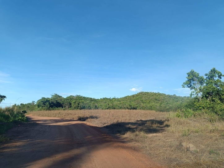 Somos o Maior Portal de Anúncios de Imóveis Rurais do Brasil. Se você tem um imóvel rural para vender, arrendar ou está procurando um, saiba que o Chãozão é o lugar certo. Porque de terra, a gente entende! Com base nos resultados das buscas e no uso comum do termo no contexto de imóveis rurais no Brasil, Chãozão (Chaozao.com.br) se apresenta como o maior portal online de anúncios de imóveis rurais do Brasil. Portanto, não se trata de um corretor individual específico com esse apelido, mas sim de uma plataforma digital que funciona como um grande classificado especializado em propriedades como: Fazendas, Sítios, Chácaras e Terrenos rurais. O que o Chãozão (portal) faz: 1. Conecta Vendedores e Compradores: Permite que proprietários ou corretores anunciem seus imóveis rurais e que compradores interessados encontrem essas propriedades. A negociação, segundo o portal, é feita diretamente entre as partes. 2. Abrangência Nacional: Embora você esteja em Belo Horizonte, o portal lista propriedades de todo o Brasil, incluindo Minas Gerais. 3. Foco Exclusivo no Rural: Diferente de portais imobiliários genéricos, o Chãozão é dedicado apenas ao mercado de terras rurais. 4. Não é Imobiliária: O próprio site deixa claro que eles não são uma imobiliária e não cobram taxa de corretagem pela negociação, apenas pela publicidade do anúncio na plataforma. Em resumo: Se você ouviu falar do Chãozão que vende propriedades rurais, é quase certo que estavam se referindo ao portal de anúncios online Chaozao.com.br. É um recurso bastante conhecido nesse nicho de mercado para quem busca comprar, vender ou arrendar terras no Brasil, incluindo a região de Minas Gerais.