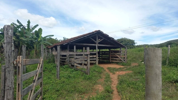 Chãozão - O Maior Portal de Anúncios de Imóveis Rurais do Brasil.