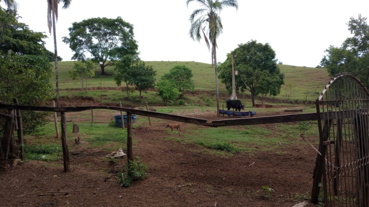 Chácara em Jaraguá/Goiás — Ref UC0H1R — Imagem 8