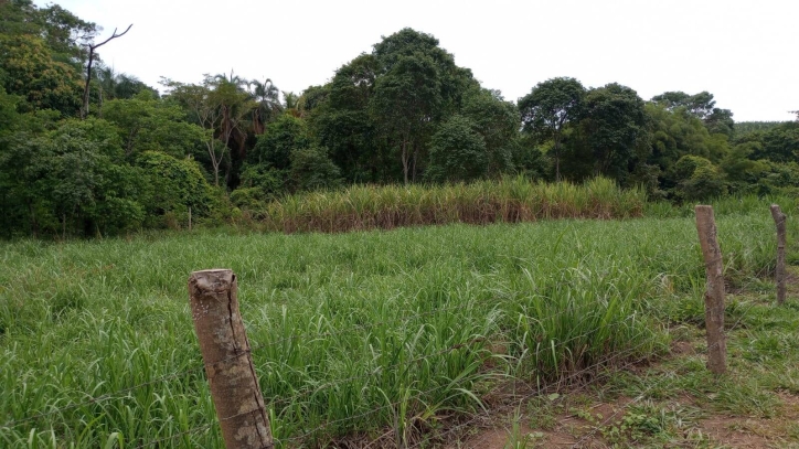 Chácara em Jaraguá/Goiás — Ref UC0H1R — Imagem 5