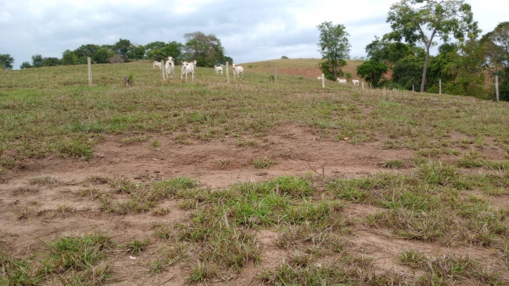 Chácara em Jaraguá/Goiás — Ref UC0H1R — Imagem 3