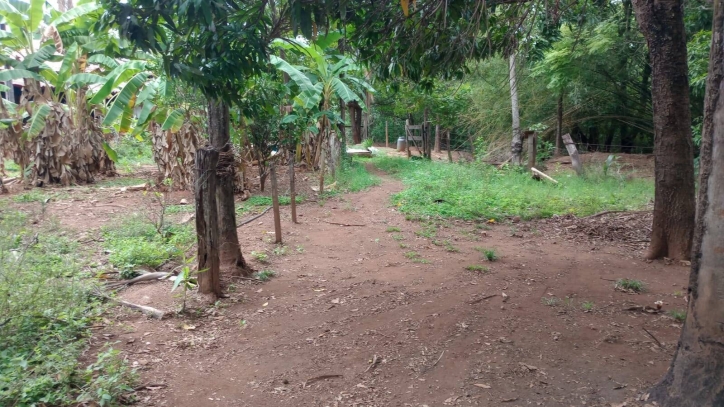 Chácara em Jaraguá/Goiás — Ref UC0H1R — Imagem 7