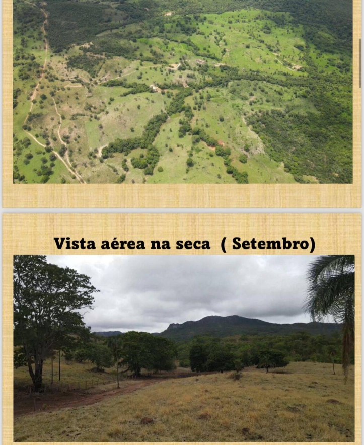 Chãozão - O Maior Portal de Anúncios de Imóveis Rurais do Brasil.