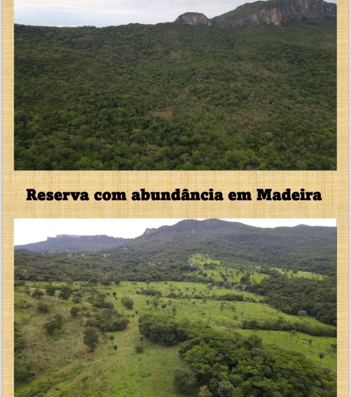 Chãozão - O Maior Portal de Anúncios de Imóveis Rurais do Brasil.