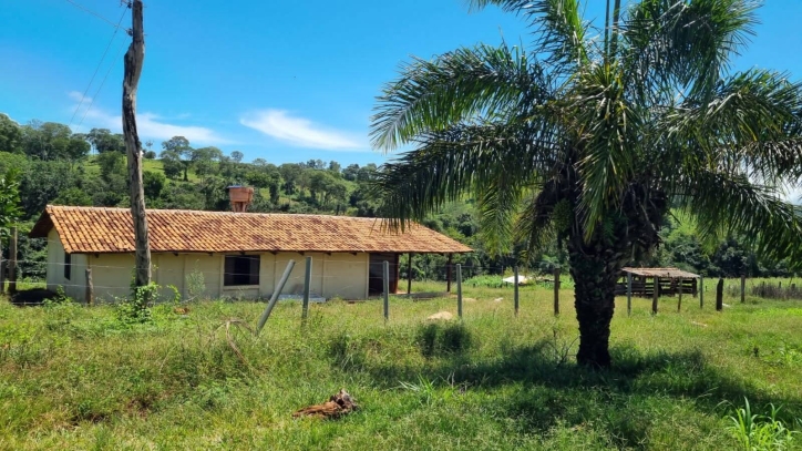 Chãozão - O Maior Portal de Anúncios de Imóveis Rurais do Brasil.