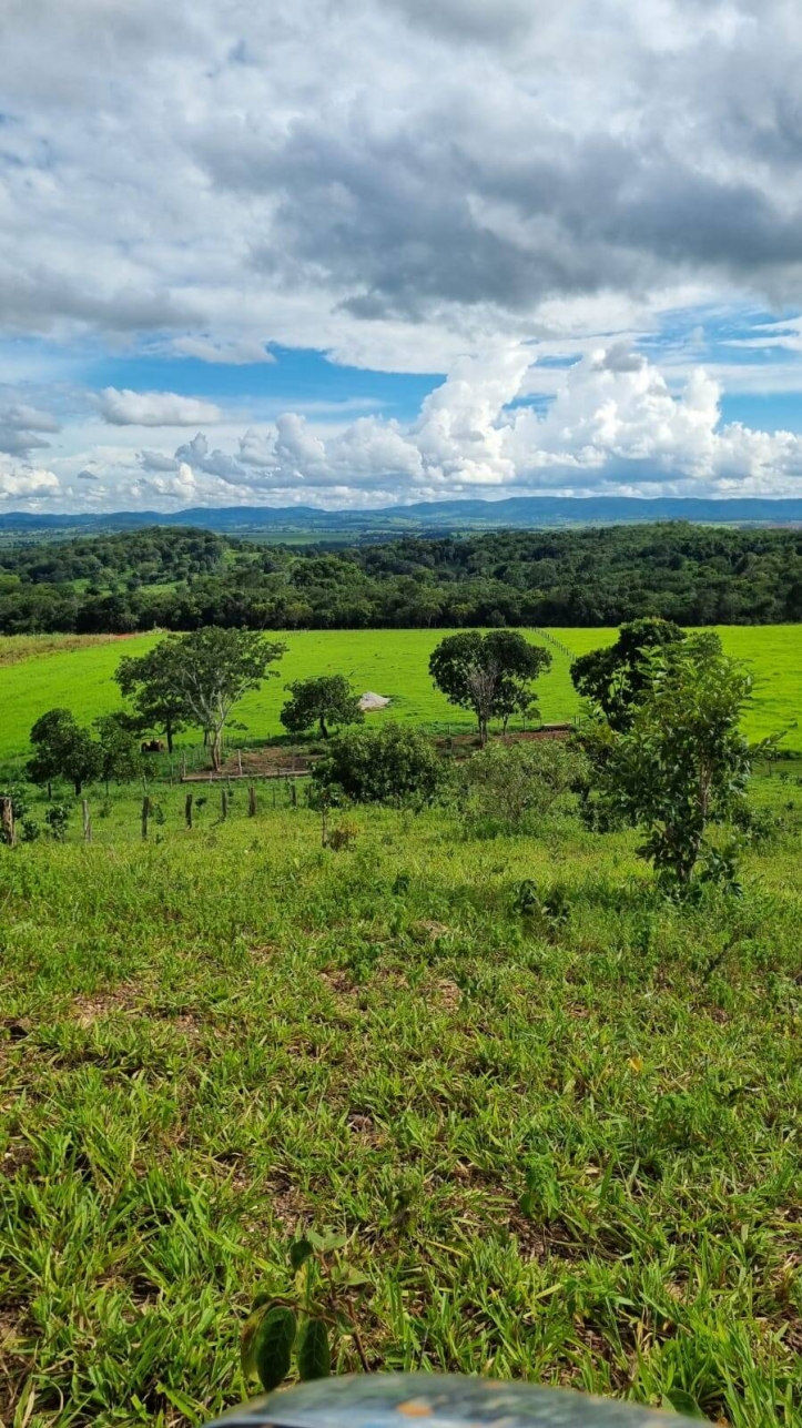 Chãozão - O Maior Portal de Anúncios de Imóveis Rurais do Brasil.
